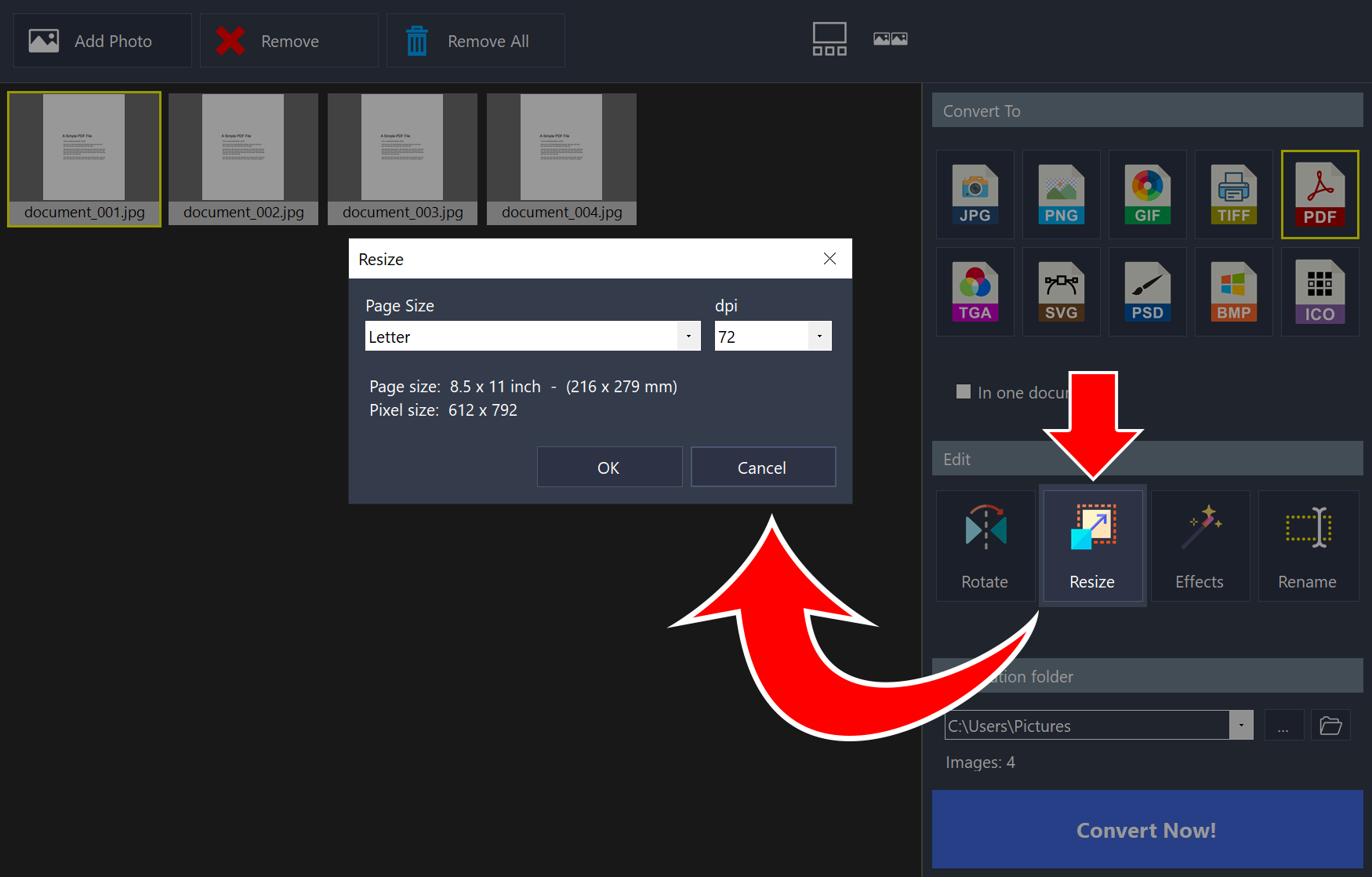 Resize window opened from the Resize button, showing Page Size set to Letter and dpi set to 72