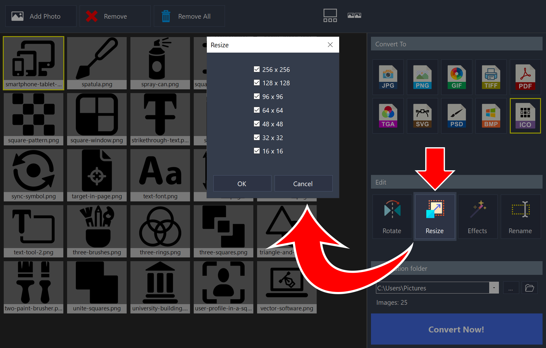 Resize window opened from the Resize button, listing icon sizes from 256 x 256 to 16 x 16